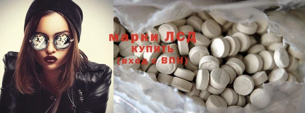 крисы Галич