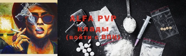 крисы Галич