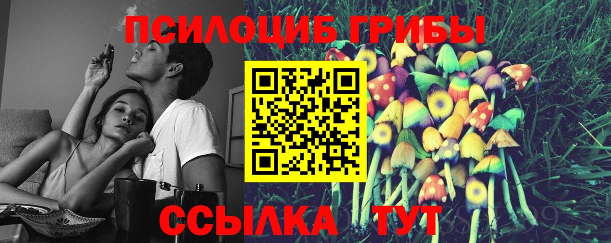 Беслан  Псилоцибиновые грибы Cubensis  Вход с VPN 
