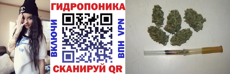 Бошки марихуана план  Беслан 